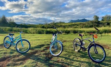 Kapa’a Bike Rentals (11)