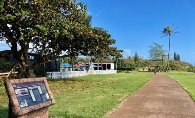 Kapa’a Bike Rentals (3)