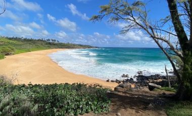 Kapa’a Bike Rentals (5)
